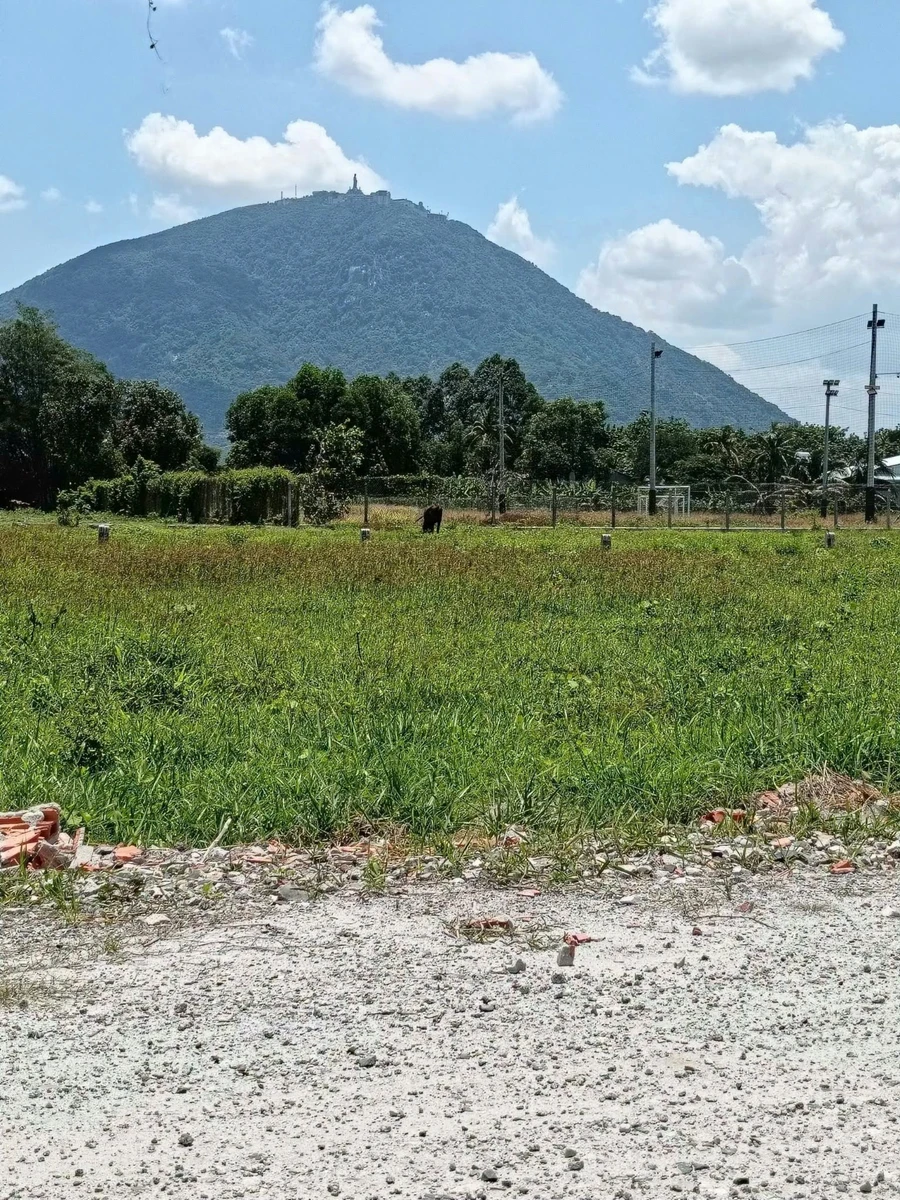 Bán đất thổ cư 60m2 Xã Phan Dương, Tây Ninh 279 triệu - Ảnh thu nhỏ 3