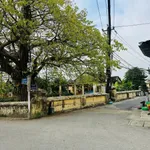 Bán mặt tiền biệt thự 182m² đường An Thường Công Chúa, Huế - Ảnh thu nhỏ 4