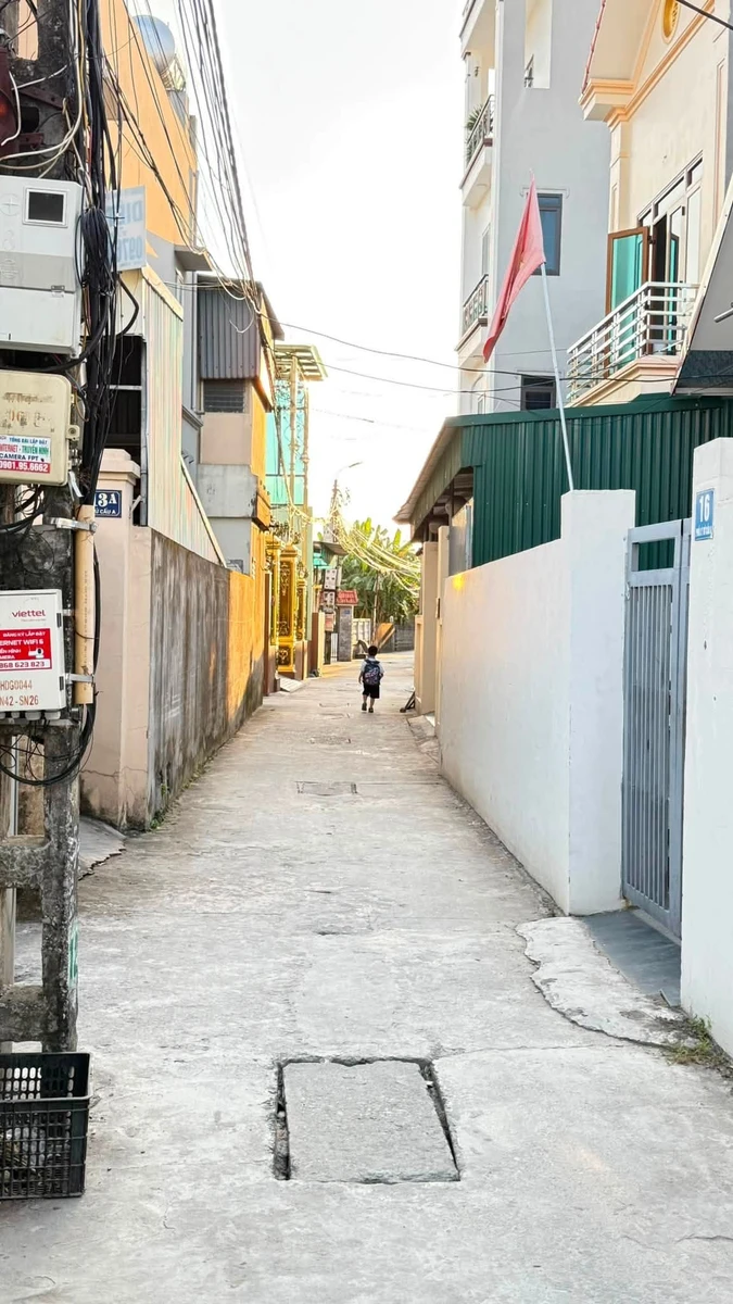 Bán 2 lô đất góc phố Lý Tử Cấu, Hải Phòng, 48 m²/lô - Ảnh thu nhỏ 4