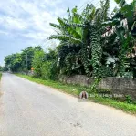 Chủ cần bán 1290m² tại Thanh Sơn, bám trục đường nhựa liên xã làm nghỉ dưỡng giá rẻ chỉ 3,7tr/m² - Ảnh thu nhỏ 13