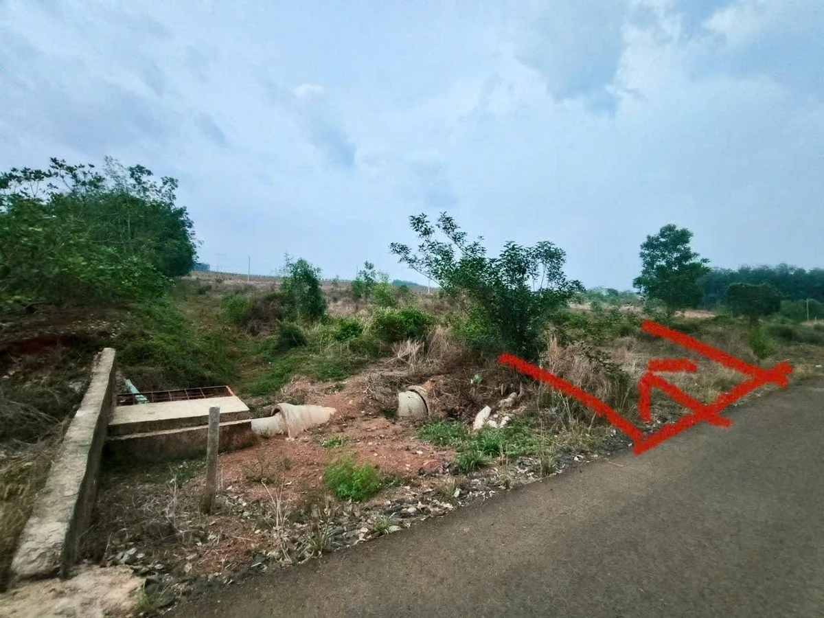 Bán lô đất 223m² KDT Thái Thành Thuận Lợi 1 tỷ 200 triệu - Ảnh thu nhỏ 3