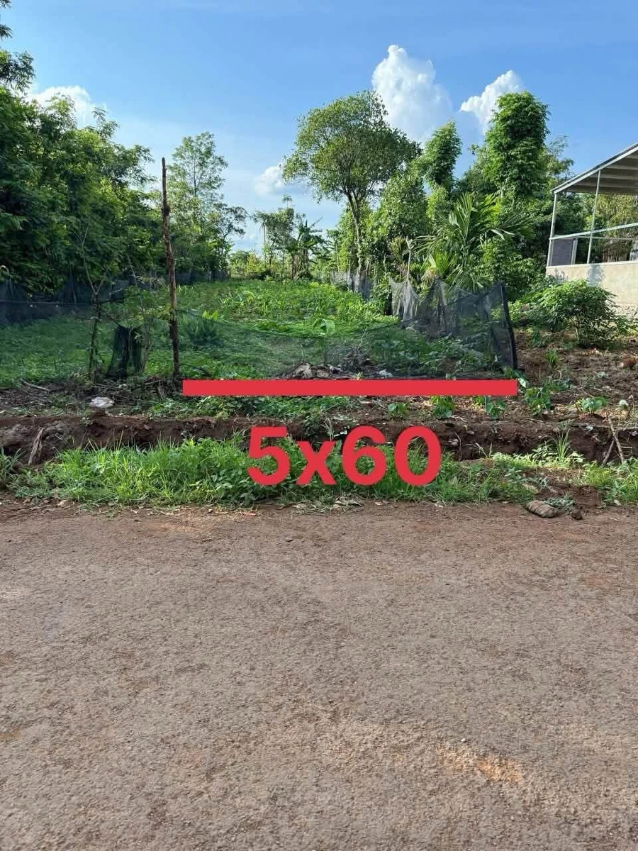 Bán đất Thôn 5 Eabar Hóc Môn 300m² 559 triệu - Ảnh thu nhỏ 2