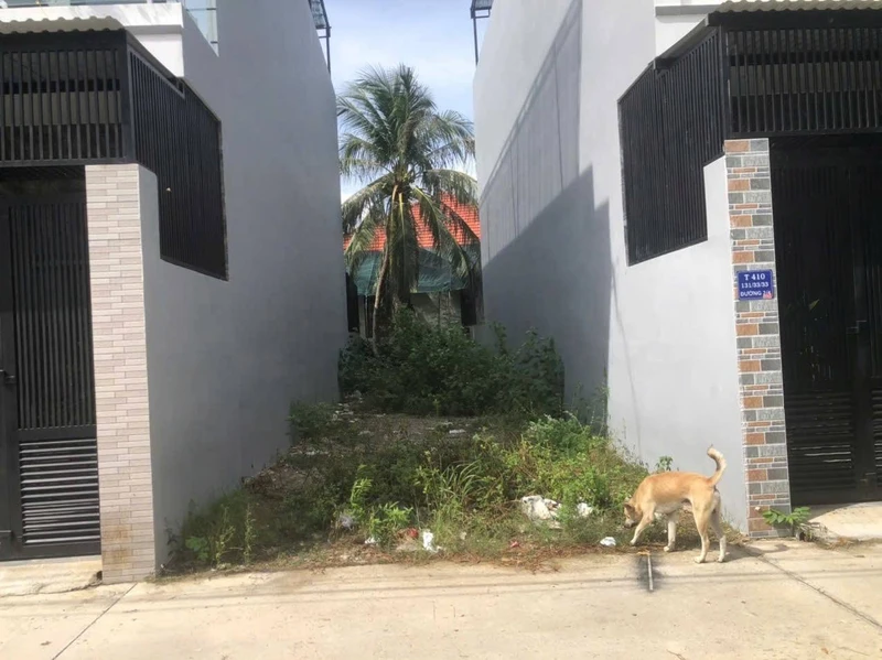 Bán đất hẻm ô tô 78,4m² trung tâm Nha Trang 2 tỷ 700