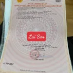 Bán đất trục chính kinh doanh đỉnh Lai Sơn, Đồng Tâm DT 100m2 MT 5m sổ đỏ chính chủ giá chỉ 2,25 tỷ - Ảnh thu nhỏ 11