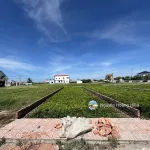 Bán gấp đất biển Quất Lâm Nam Định cách bãi tắm 100m, đường ôtô tránh cạnh khu du lịch giá 1.x tỷ - Ảnh thu nhỏ 4