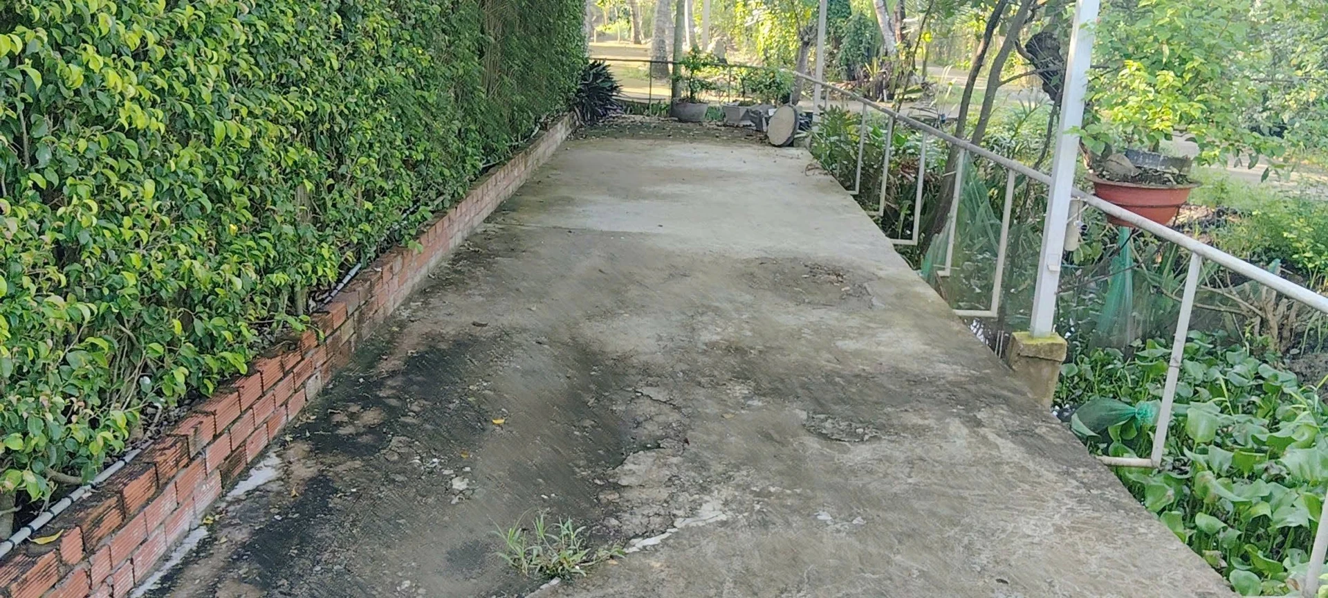 Bán đất 530m2 có sân vườn hồ bơi tại Phú Hưng, TP Bến Tre, giá 1,25 tỷ - Ảnh 1