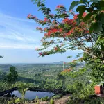 Bán đất 1.300m² La Ngà Đồng Nai 800 triệu - Ảnh thu nhỏ 5
