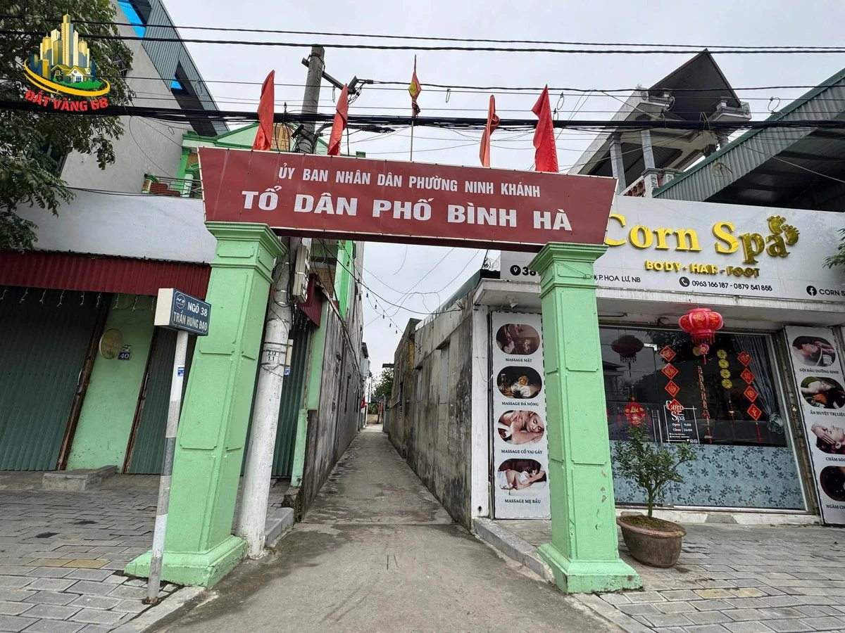Bán lô đất 45m2 phố Ninh Khang gần Trần Hưng Đạo - Ảnh thu nhỏ 2