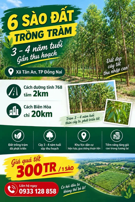 Bán đất 6 sào Tân An Vĩnh Cửu Đồng Nai 1,8 tỷ