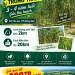 Bán đất 6 sào Tân An Vĩnh Cửu Đồng Nai 1,8 tỷ - Ảnh thu nhỏ 1