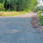 Bán đất 4.395m2 cây lâu năm mặt tiền 33m đường nhựa tại Phú An, Bến Cát - Ảnh thu nhỏ 2