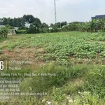 Bán đất 336m² 900 triệu Đồng Nai, gần ĐT 741 - Ảnh thu nhỏ 4