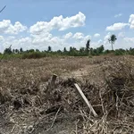 Bán đất vườn 3000m² Thạnh Hoà Bến Lức Long An 2 tỷ 550 - Ảnh thu nhỏ 5