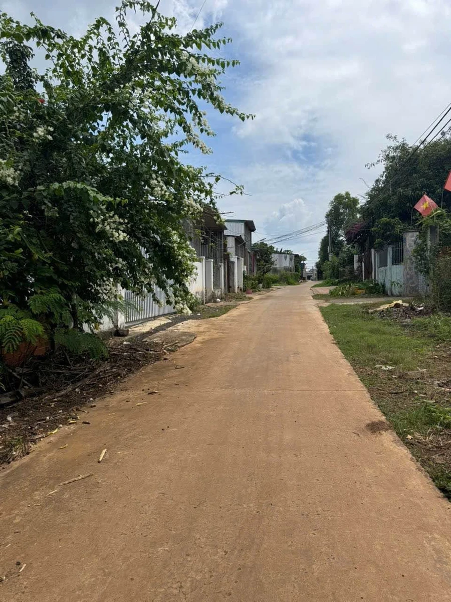 Bán đất 500m² hẻm 333 Nguyễn Thị Định giá 890 triệu - Ảnh thu nhỏ 2
