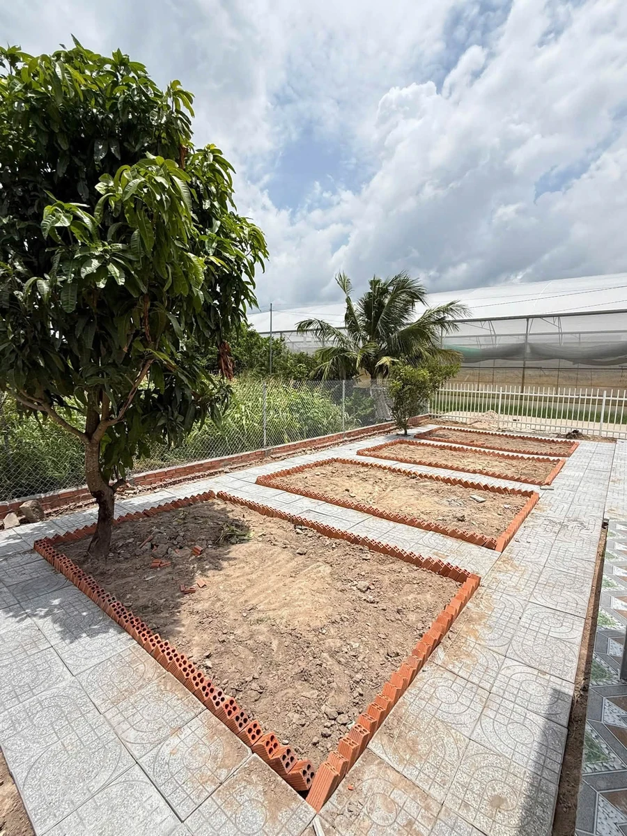 Bán nhà vườn 500m2 tại Long Mỹ, xã Phước Hải, giá 2,15 tỷ - Ảnh thu nhỏ 4