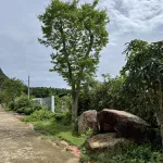 Bán đất 100% thổ cư Búng Gội, 494m2 giá 4.3tỷ, ngang 16.5m view núi đẹp, về sân bay Phú Quốc 20phut - Ảnh thu nhỏ 13