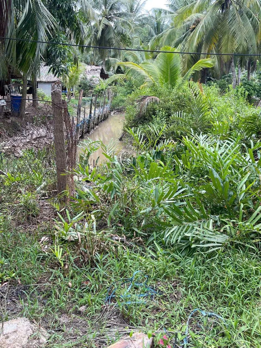 Bán đất 500m2 mặt tiền Huyện Lộ 26 Tân Trung, Bà Rịa - Vũng Tàu - Ảnh thu nhỏ 3