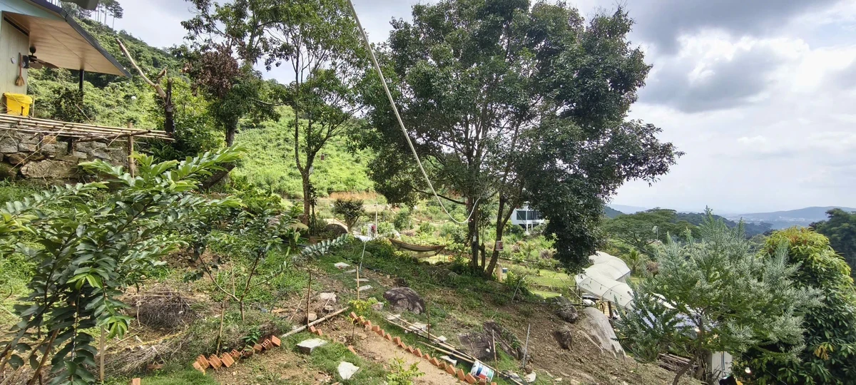 Bán đất sinh thái Đông Anh Nam Ban Lâm Đồng 13000m² 16 tỷ - Ảnh thu nhỏ 5