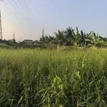 Bán lô đất 198,5m2 thổ cư giá 299 triệu tại Nhựt Chánh, Bến Lức, Long An - Ảnh thu nhỏ 4