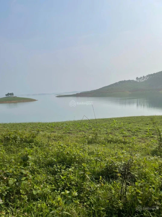 Bán quả đảo tròn trịa đẹp ở hồ Thác Bà 1,6ha giá 2,2 tỷ - Ảnh thu nhỏ 3