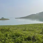 Bán quả đảo tròn trịa đẹp ở hồ Thác Bà 1,6ha giá 2,2 tỷ - Ảnh thu nhỏ 3
