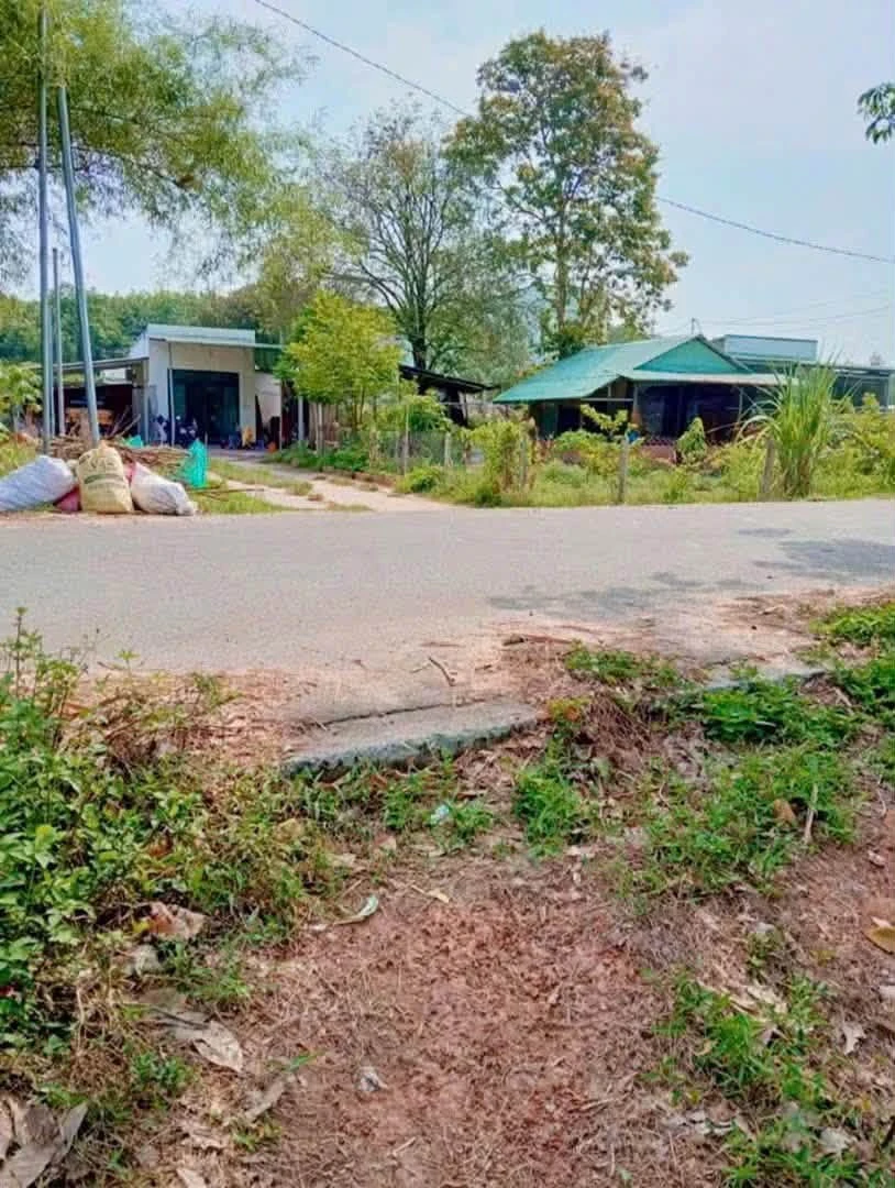 Bán lô đất 4.809m² Phú An, Thủ Đức - Ảnh thu nhỏ 4