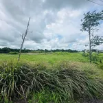 Bán lô đất 220 m² Buôn Đôn, Đắk Nông, 26 triệu/m² - Ảnh thu nhỏ 3