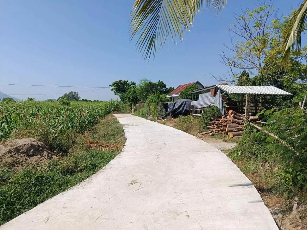 Bán đất nền Ninh Hoà Khánh Hòa 100m² giá 190 triệu - Ảnh thu nhỏ 2