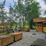 Bán farm sinh thái 7000m2 Đồng Xoài, Bình Dương - Ảnh thu nhỏ 2