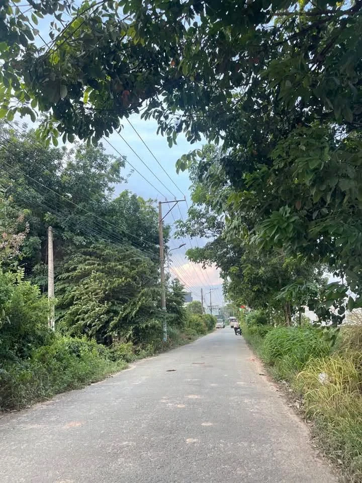 Bán đất Hòa Lợi 850m² gần KCN MP3, giá 4 tỷ - Ảnh thu nhỏ 3