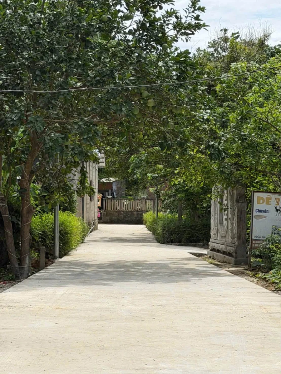 Bán đất 82m² 2 mặt tiền Kim Long, Huế 980 triệu - Ảnh thu nhỏ 4