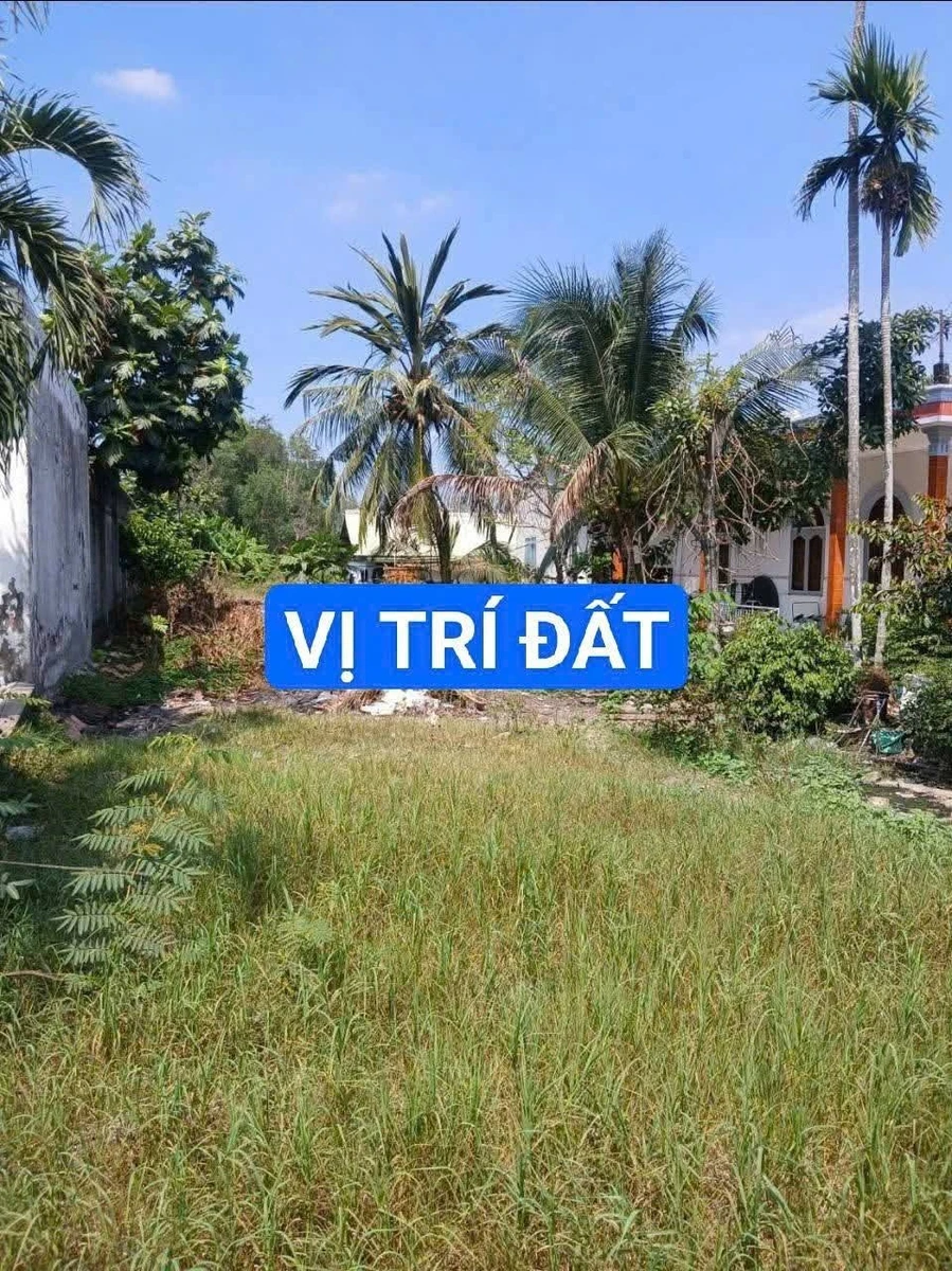 Bán đất mặt tiền tỉnh lộ 824 Bến Lức 6,5 tỷ 576m² - Ảnh thu nhỏ 4