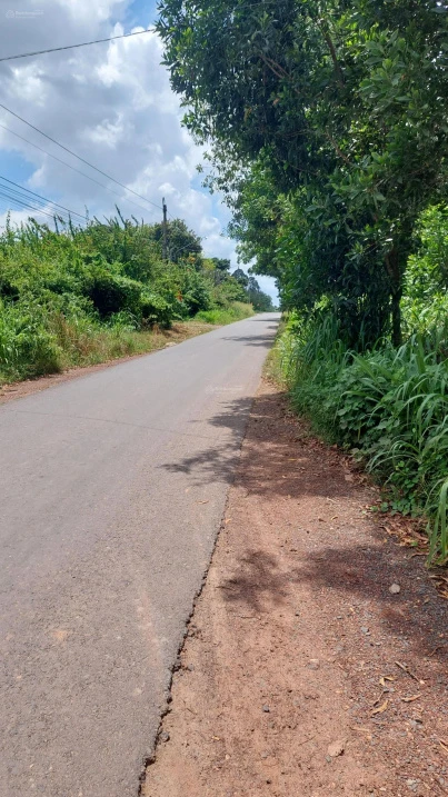 Bán đất 1000m2 mặt tiền DT752B chỉ 2,5 tỷ Phường Chơn Thành (phường Tân Hiệp, Hớn Quản cũ) - Ảnh thu nhỏ 2