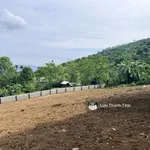 Bán gấp 2.000m2 có 200m2 thổ cư 2 mặt tiền chạy quanh đất - Ảnh thu nhỏ 7