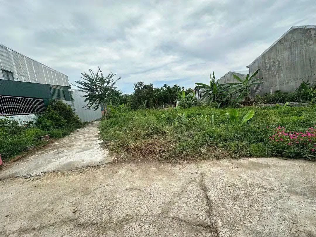 Bán đất vườn 520m² giá 1.5 tỷ Nghĩa Dõng - Ảnh thu nhỏ 3