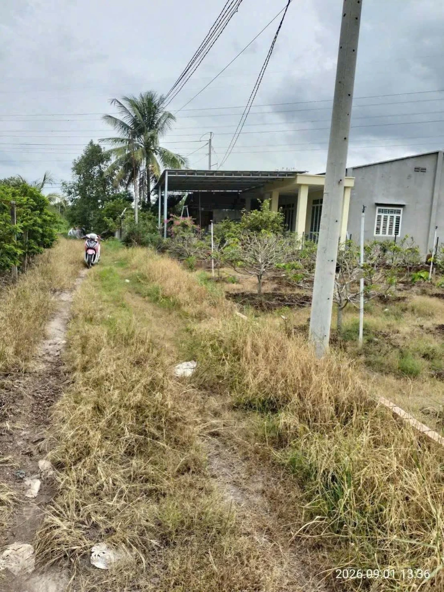 Bán 2,2 công đất Tây Ninh, view núi, gần đường - Ảnh thu nhỏ 2