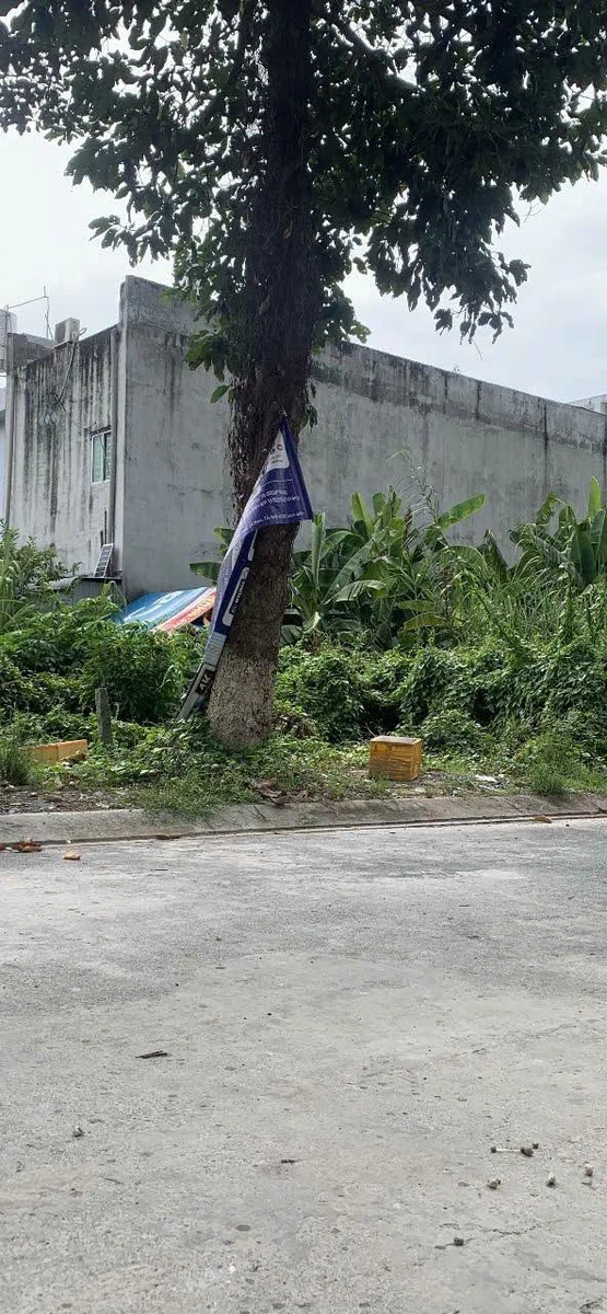 Bán đất 110m² đường số 15, Phường Bình Khánh, Long Xuyên - Ảnh thu nhỏ 3