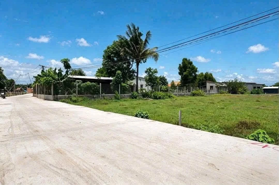 Bán nền đất 150m² Hậu Nghĩa, Củ Chi, 590 triệu - Ảnh thu nhỏ 3