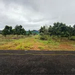 10 tỷ cho 2,3 ha phù hợp làm kho bãi hoặc nông nghiệp sát Quốc Lộ 14 Đăk Nông - Ảnh thu nhỏ 3