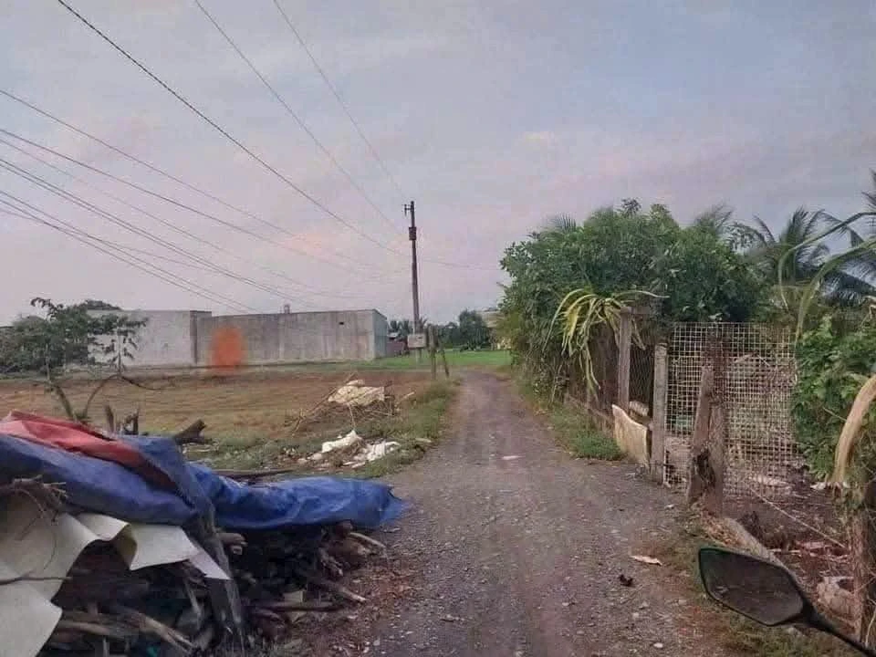 Bán đất 150m² Mỹ Hạnh Bắc, Đức Hòa, Long An 1,49 tỷ - Ảnh thu nhỏ 3