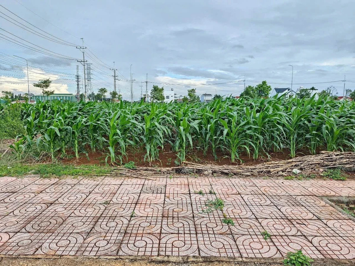 Bán cặp đất 132m² view hoa viên Tân An, Bình Minh 3,4 tỷ - Ảnh thu nhỏ 2