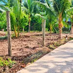 Bán đất 7x40m có 95m2 thổ cư đường xe hơi gần trường cấp 2 Tân Thạch, giá 630 triệu - Ảnh thu nhỏ 2