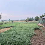 Bán đất vườn 1,4ha Thạnh Lộc Nhà Bè 850 triệu - Ảnh thu nhỏ 1