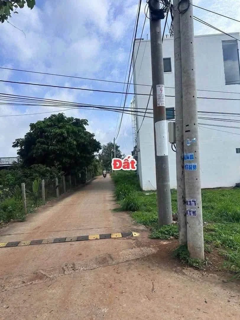 Bán đất Láng Lớn, Nhà Bè 510 triệu, gần KCN Châu Đức - Ảnh 1
