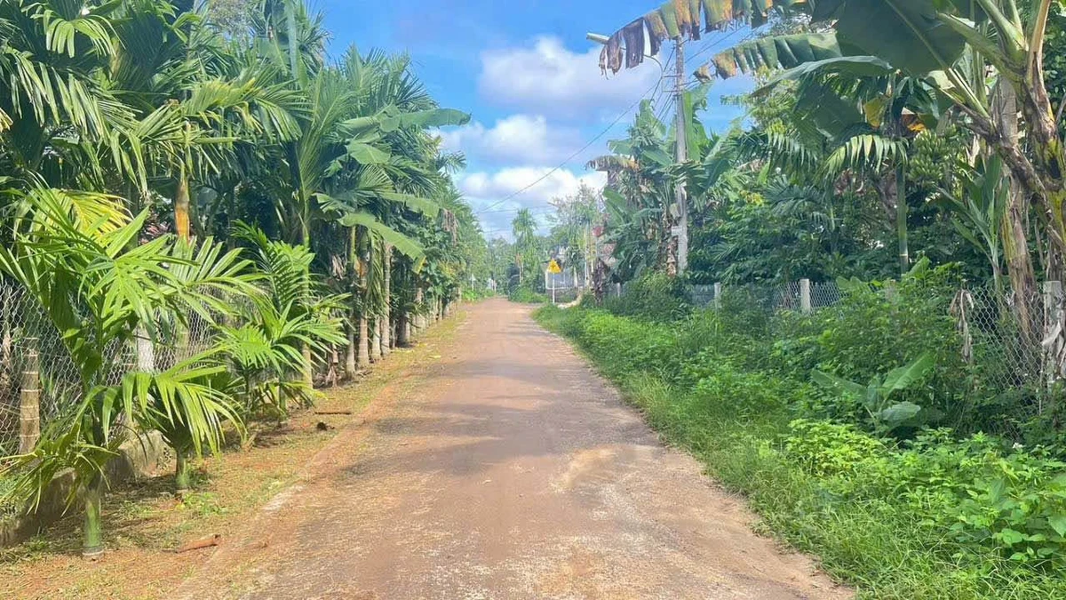 Bán đất thổ cư 5x30m hẻm đường nhựa Nguyễn Xuân Nguyên, Ea Nao, Buôn Ma Thuột, giá 1,79 tỷ - Ảnh 1