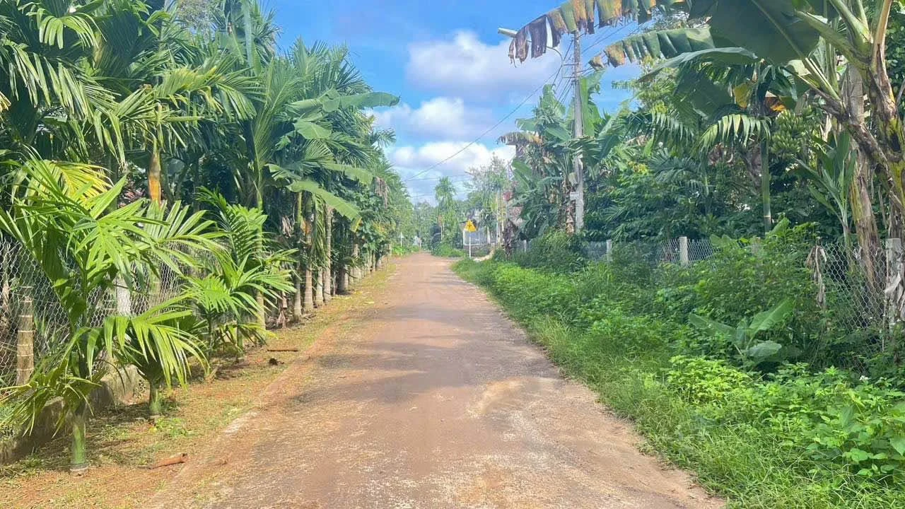 Bán đất thổ cư 5x30m hẻm đường nhựa Nguyễn Xuân Nguyên, Ea Nao, Buôn Ma Thuột, giá 1,79 tỷ - Ảnh 1