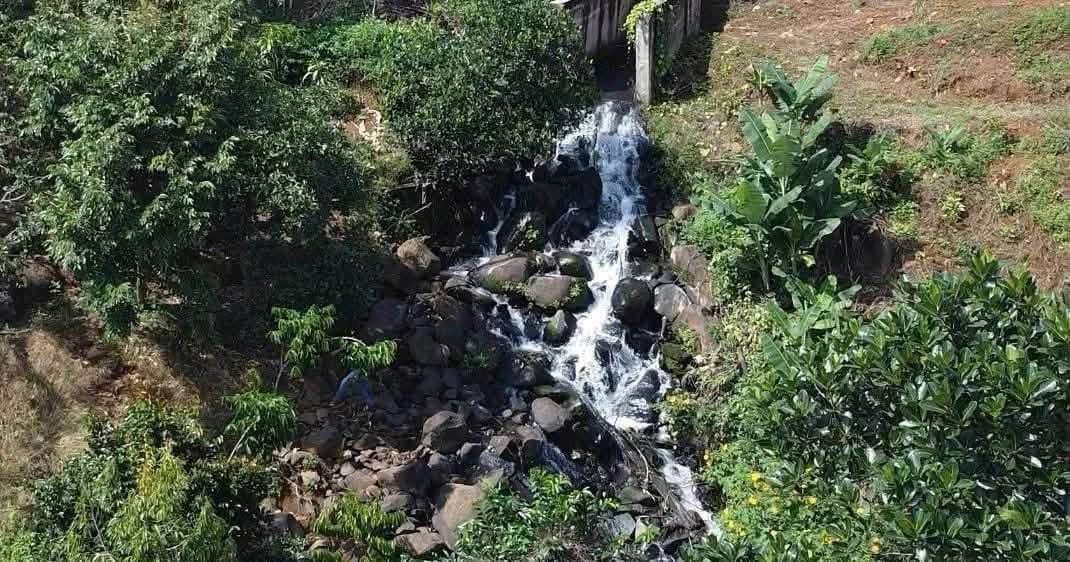 Bán đất 3938 m2 mặt tiền Nguyễn Trãi Bảo Lộc 4,2 tỷ - Ảnh thu nhỏ 5