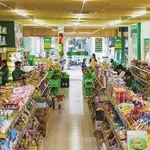 Bán shophouse mặt tiền 306m2 đường 768 KCN Thạnh Phú 16.5 tỷ - Ảnh thu nhỏ 2