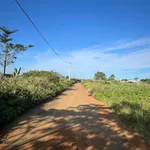Bán đất giá rẻ - hẻm ô tô 169 Nguyễn Đình Chiểu - Phường 1 Bảo Lộc - Ảnh thu nhỏ 3