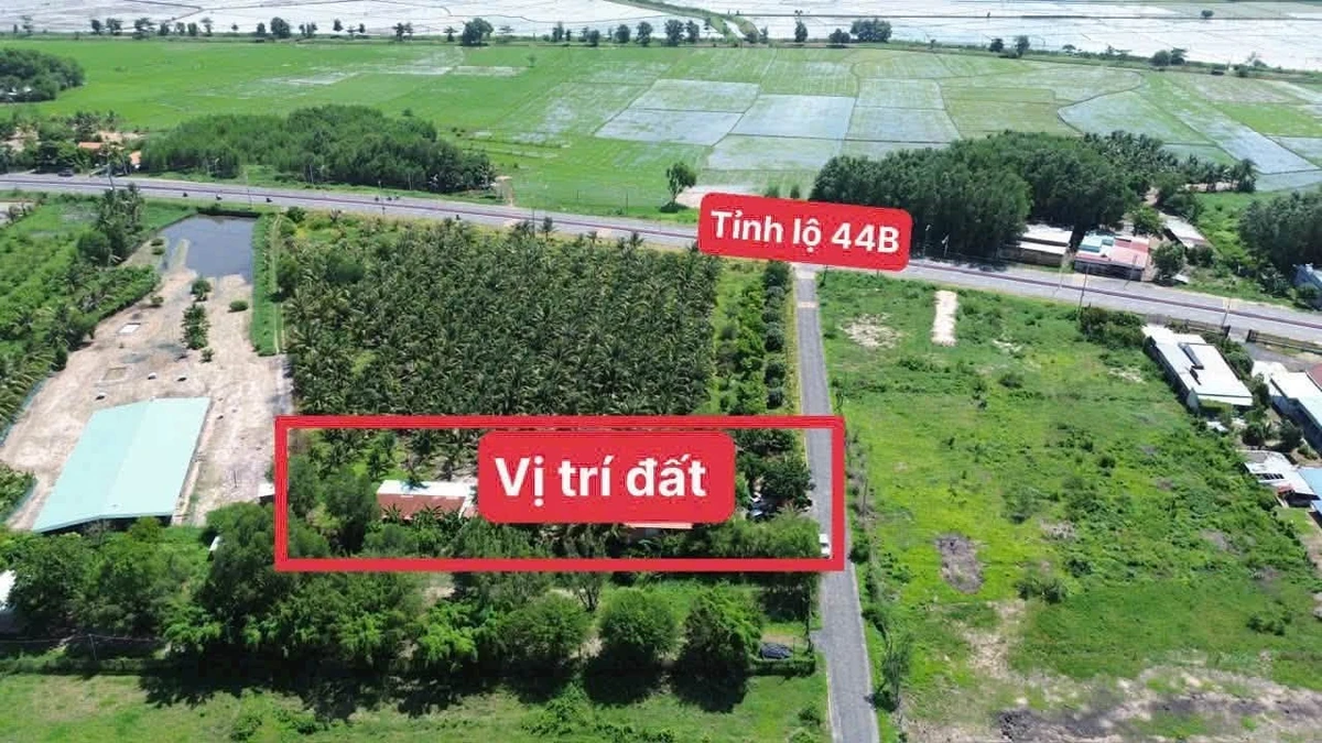Bán đất 1585m2 gần biển Phước Hải Bà Rịa - Vũng Tàu - Ảnh thu nhỏ 4